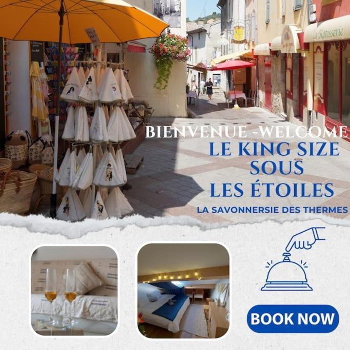 Le King & Suites Etoilees Gréoux-les-Bains Extérieur photo